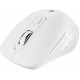Everest SM-BT09 USB 2in1 Bluetooth ve 2.4ghz Kablosuz Mouse Everest SM-BT09 USB 2in1 Bluetooth ve 2.4ghz Kablosuz Mouse
